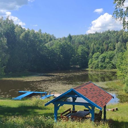 Pierszczewo Kaszubski Horyzont 빌라 외부 사진